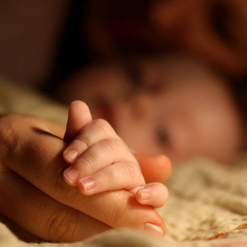 Close-up of a hand holding a baby's hand with a blurred background
